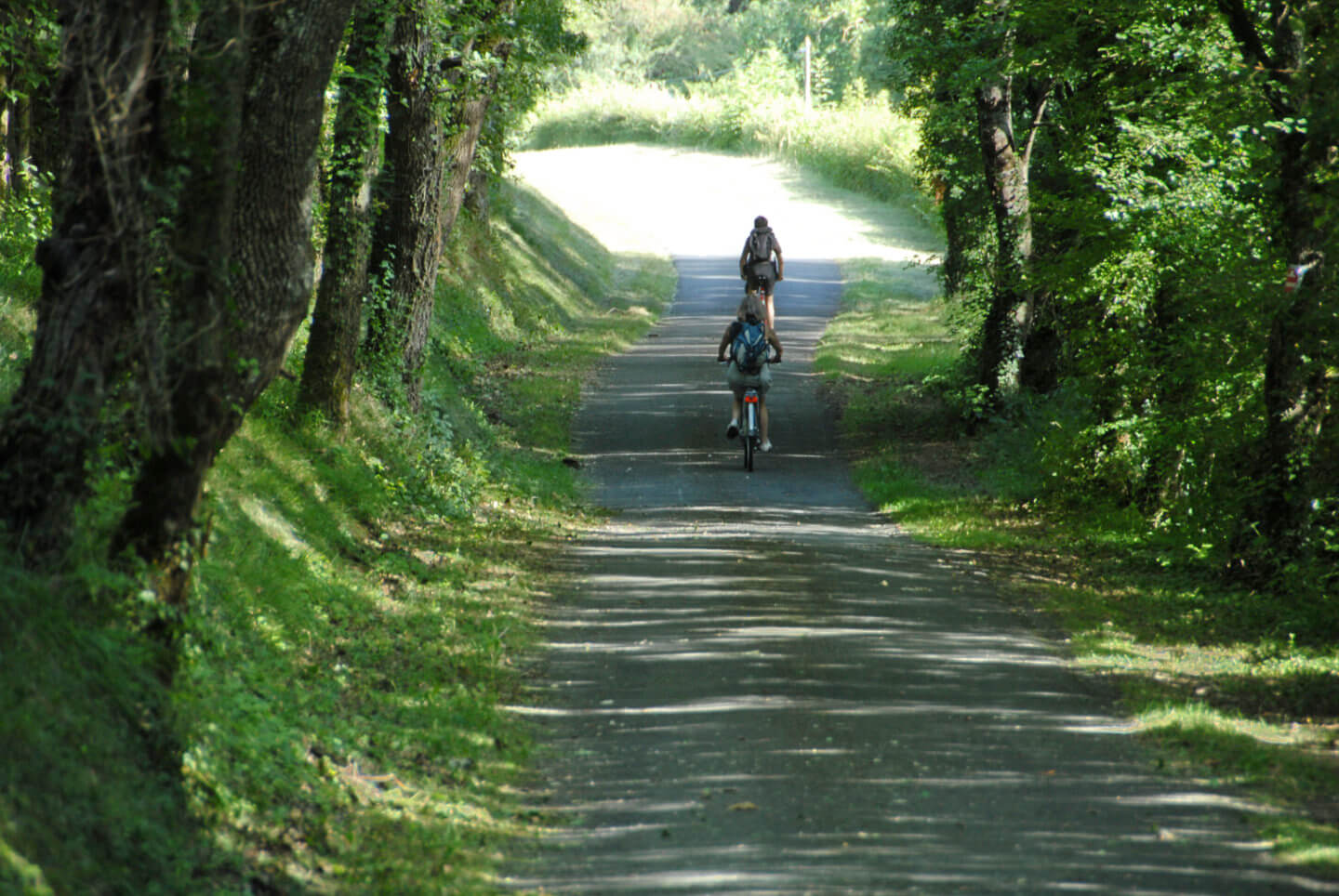 Les forêts et bords de rivière rafraichissent votre parcours