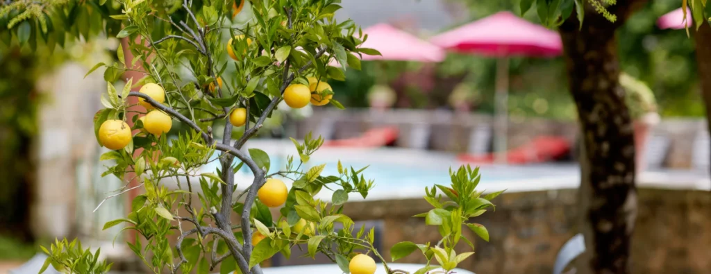 Séminaires Les Orangeries